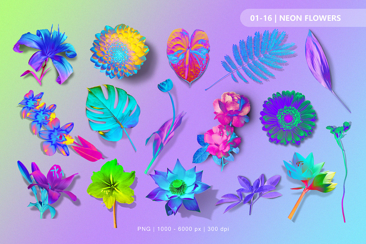 Acid Flowers Set, an Object Graphic by TiriCo (Photo 2 of 11)