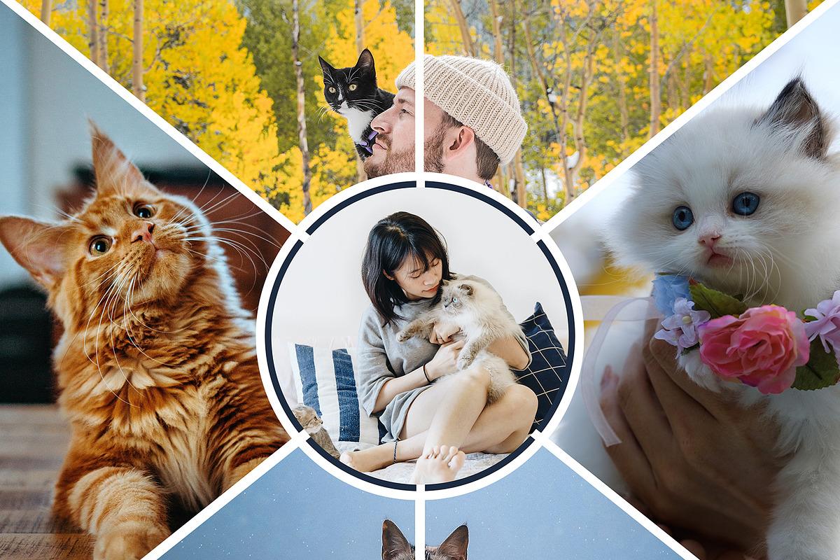 Collage Photo Frame Design Bundle, a Print Template by MRI STUDIO (Photo 4 of 42)