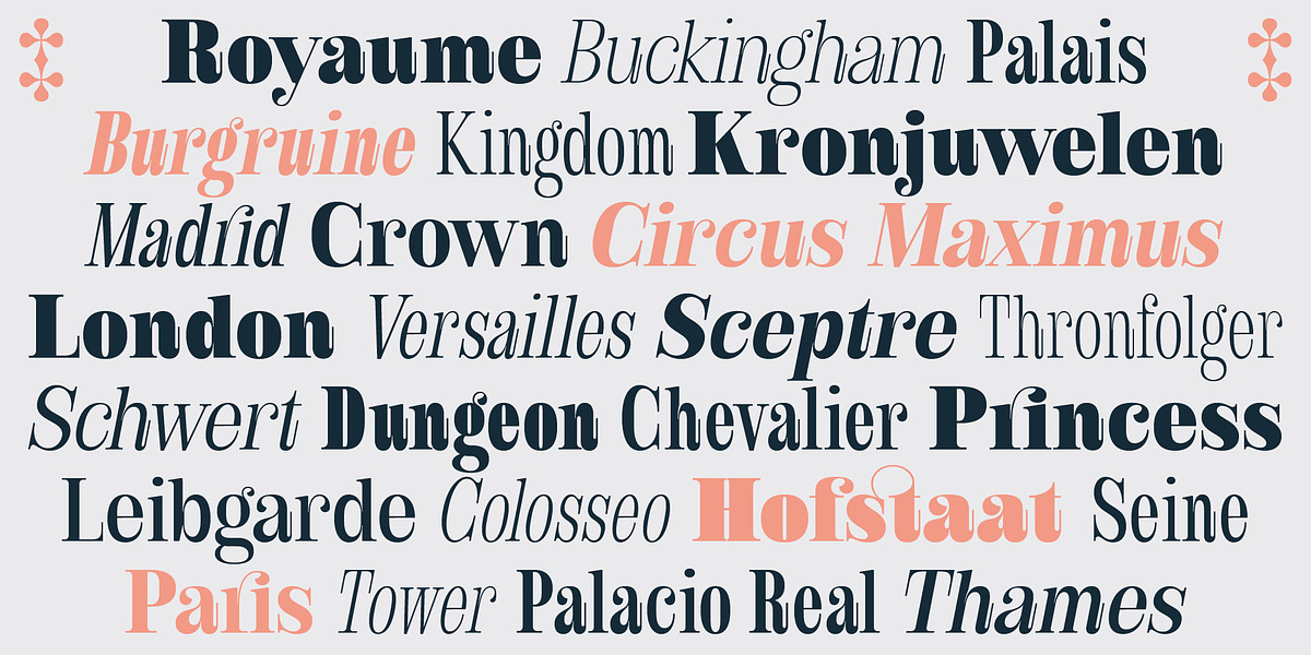 Royalis, a Serif Font by Julien Fincker (Photo 13 of 15)