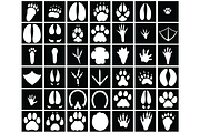 41 Animal Paw Stencil, Animal Tracks, an Object Graphic by Doodle Cloud Studio (Thumbnail 2 of 2)