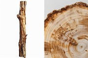 Wood - 163 images, a Nature Photo by Handmadefont (Thumbnail 19 of 25)