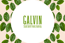 Galvin Slab Serif Font Family Pack