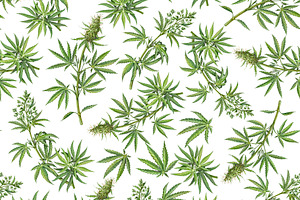 Cannabis Seamless Pattern