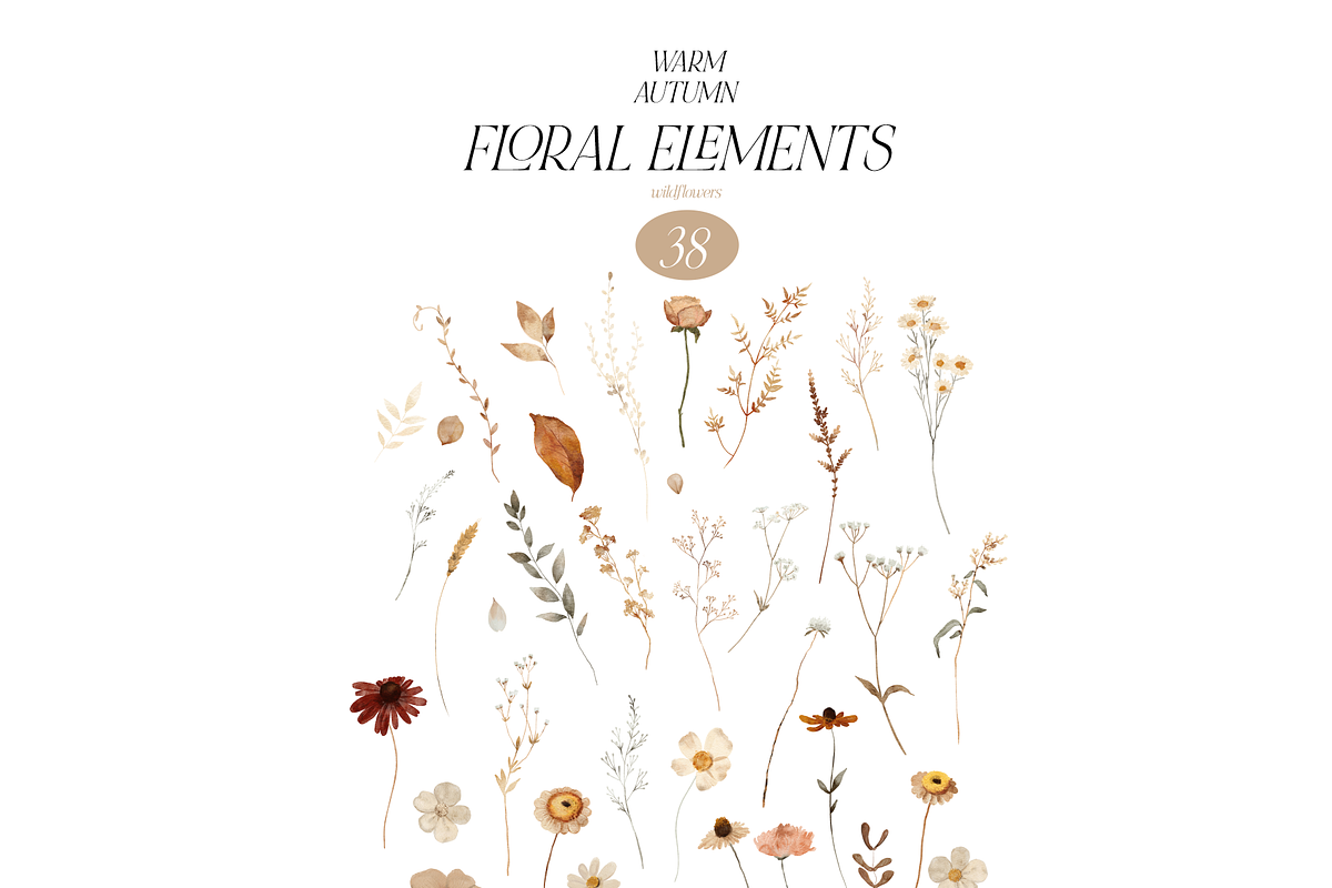 Warm AUTUMN - wildflower collection, a Seasonal Illustration by Youksy (Photo 14 of 17)