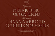 NOIR et BLANC Stylish Serif, a Serif Font by Nicky Laatz (Thumbnail 40 of 41)