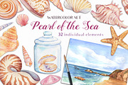 Watercolor Seashells, an Illustration by Irina Diasli (Thumbnail 1 of 9)