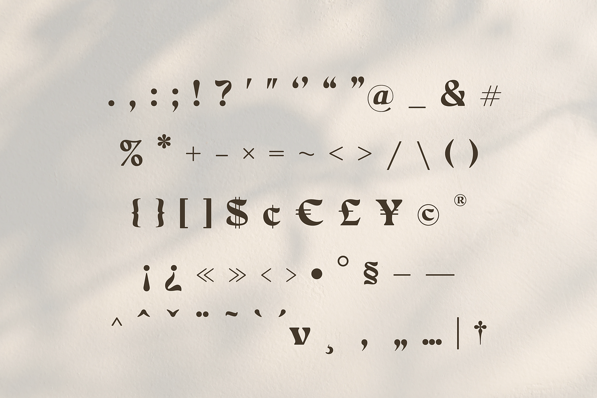 Farin Serif, a Serif Font by Creative Foundry (Photo 8 of 8)