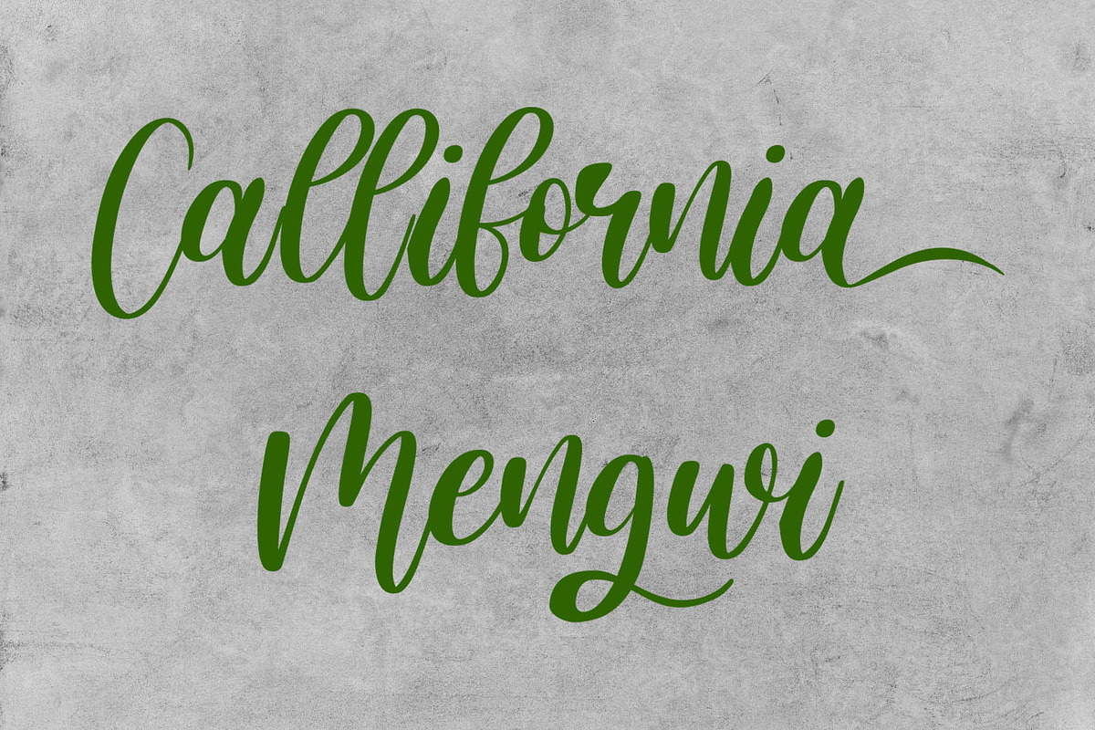 Cithronia Brush Font, a Script Font by Anomali Creatype (Photo 7 of 10)
