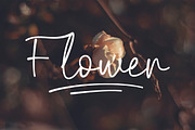 Biegen Stinger - Script Font, a Script Font by NTC Graphic (Thumbnail 2 of 9)