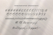 Steelbany, a Script Font by Goresan Studio (Thumbnail 11 of 15)