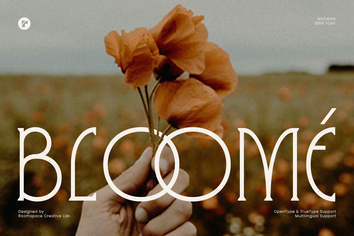 Macwine - Beautiful Chic Serif, a Serif Font by roomspace creative lab (Photo 2 of 13)