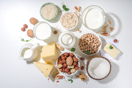 Plant-based alternative non-dairy products, a Food & Drink Photo by Rimma