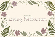 Tendriline Botanical Serif Font, a Serif Font by Graphic Spirit (Thumbnail 3 of 8)