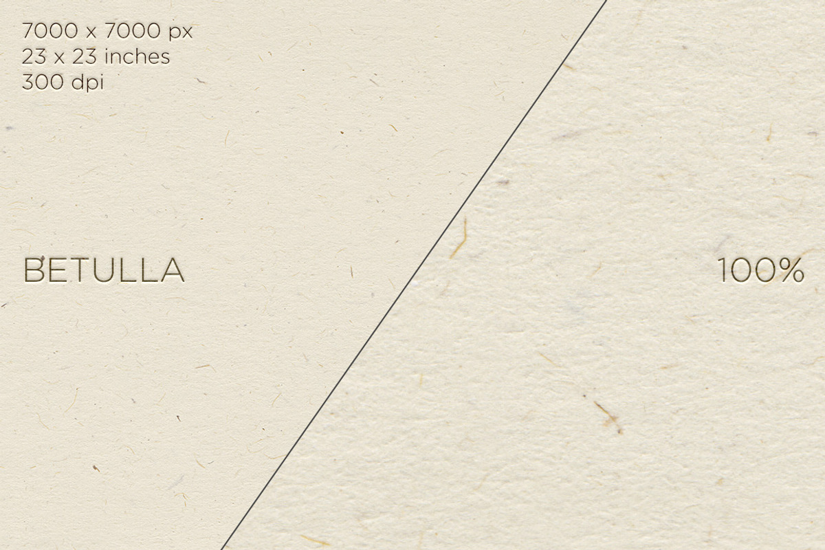 10 Macro High-Res Paper Textures, a Texture Graphic by measyn (Photo 6 of 11)