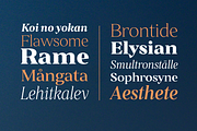 Hécate, a Serif Font by OceaneM (Thumbnail 4 of 6)