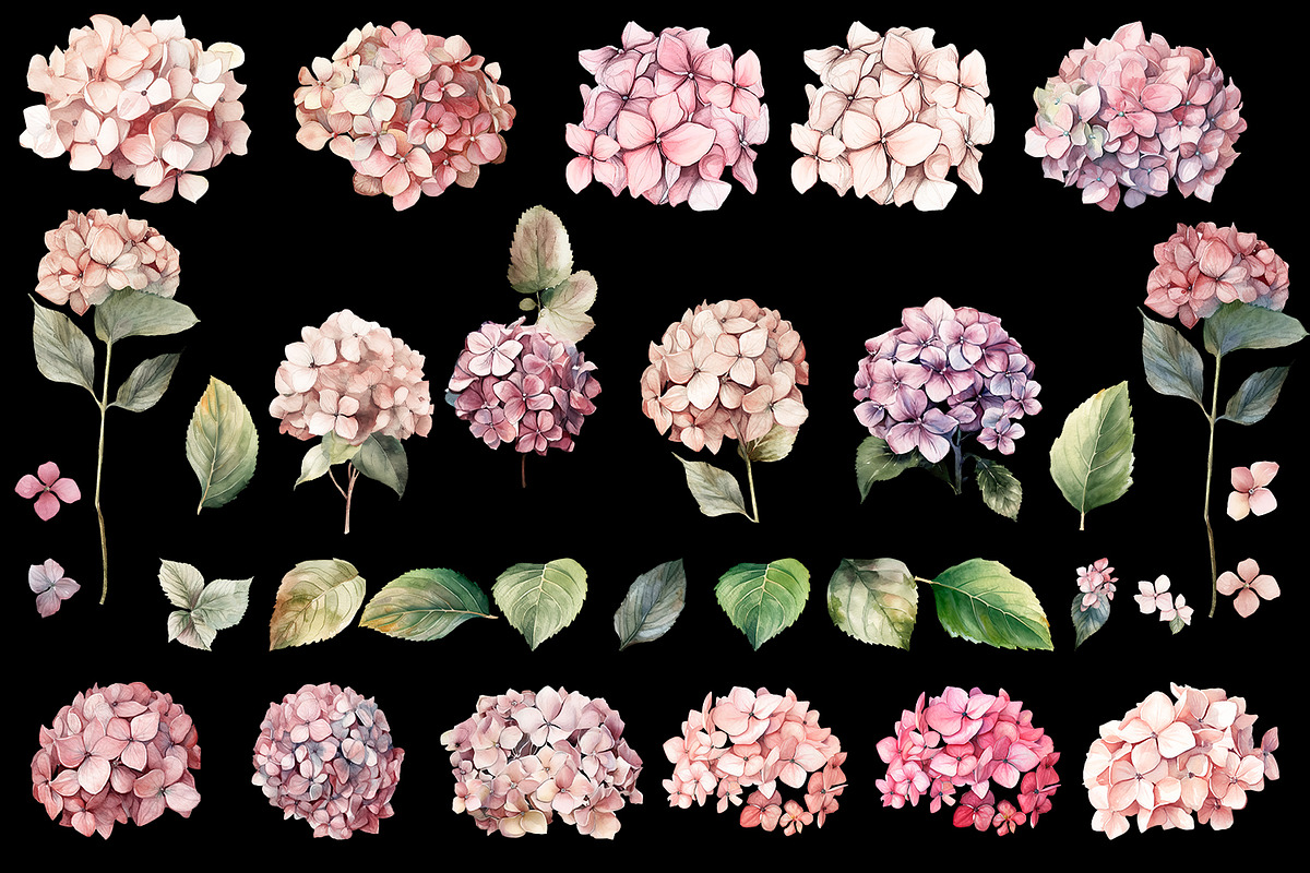 Hydrangea clipart, Watercolor floral, a Decorative Illustration by ElenazlataArt (Photo 4 of 7)