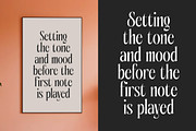 Aligner Tall Modern Serif Display, a Serif Font by timelesstype.co (Thumbnail 8 of 20)