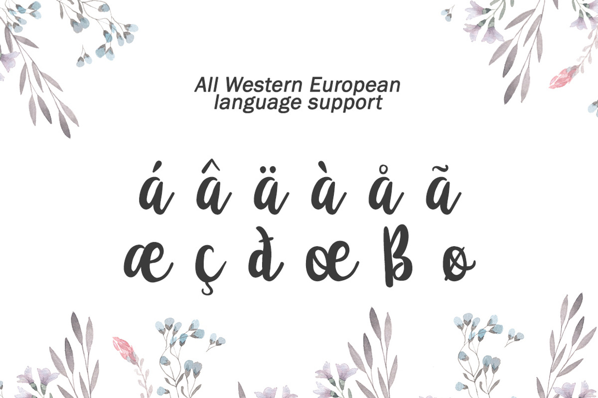 Anemone Script, a Handwritten Font by supfonts (Photo 3 of 9)