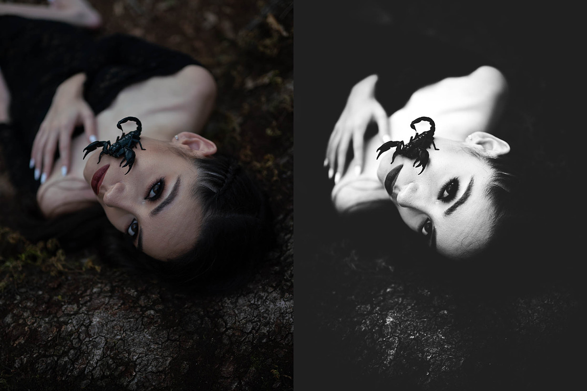 10 Lightroom Profile - High Contrast, an Action Add-On by Preset Bunker (Photo 4 of 10)