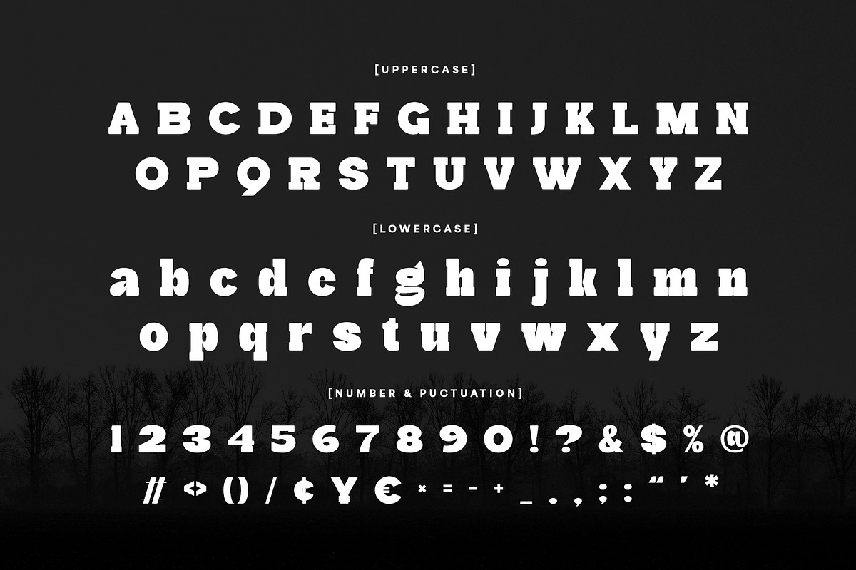 Mareno - A Modern Slab Serif Font, a Serif Font by Almeera Std (Photo 5 of 10)