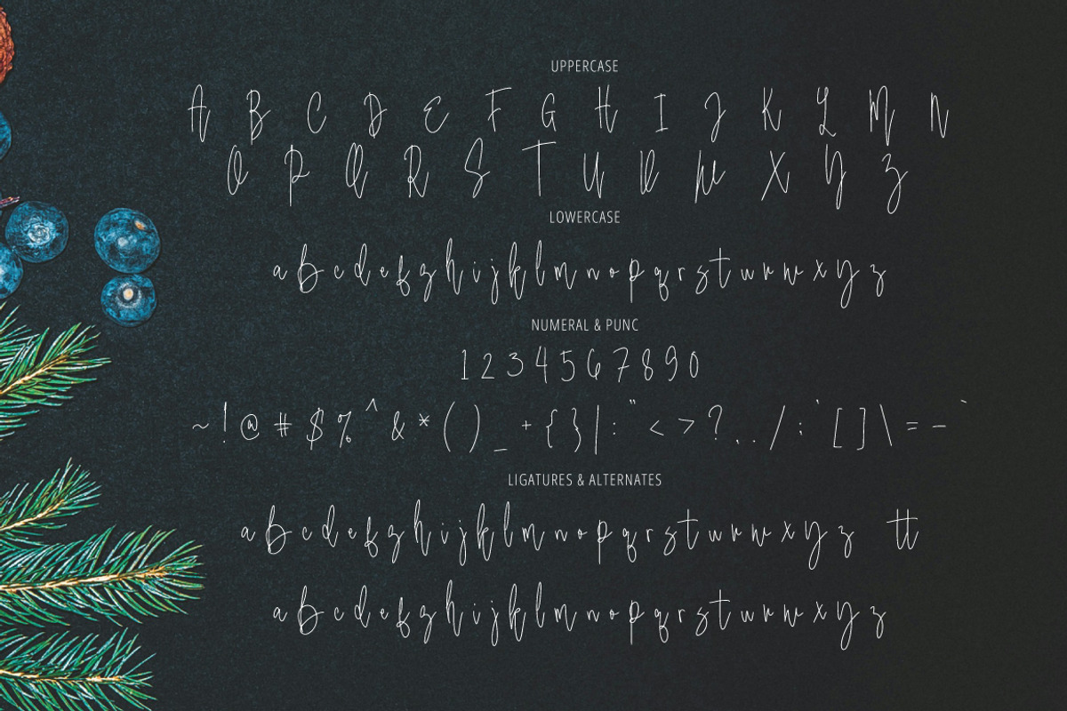 Bulantisa - Monoline Signature, a Handwritten Font by executypeStudio (Photo 8 of 11)