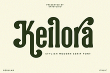 Keilora - Modern Condensed Font