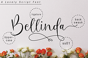 Oh Beloved Script, a Script Font by Nissa Studio (Thumbnail 10 of 12)