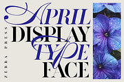 ZP APRIL - Luxury Hybrid Font, a Script Font by Zebra Press (Thumbnail 3 of 13)