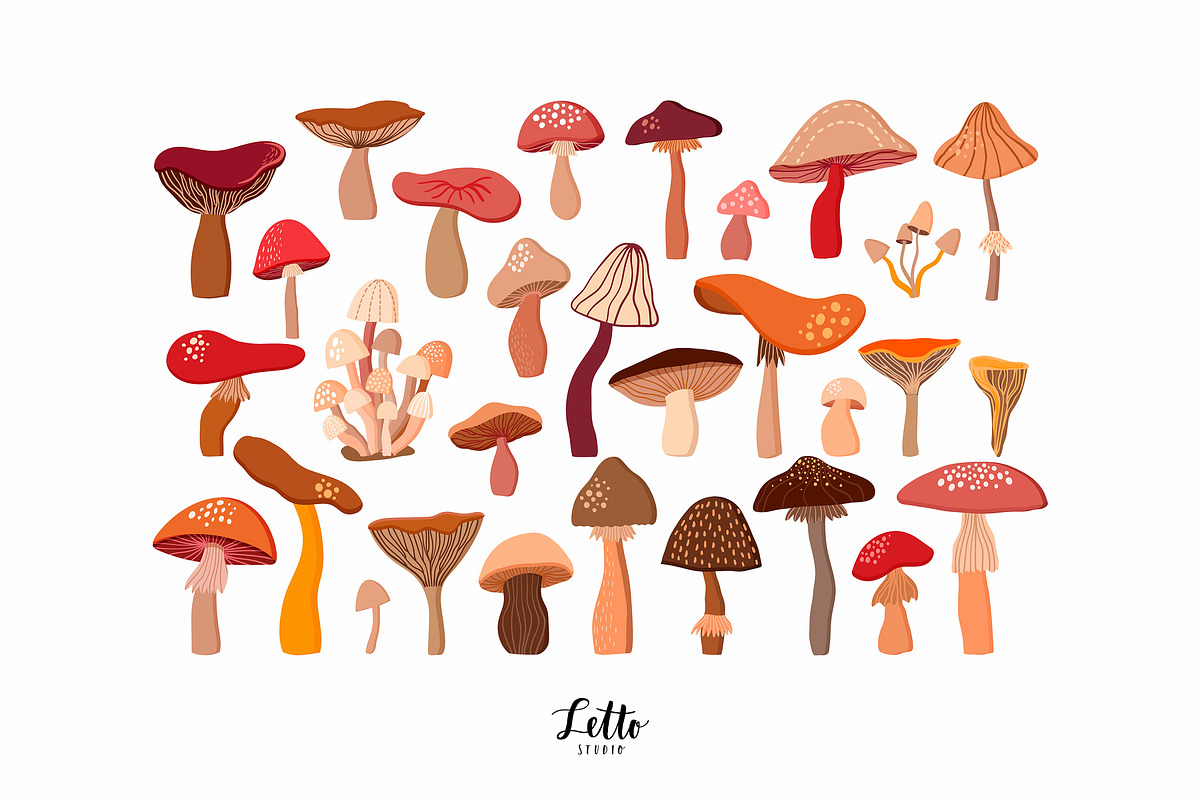 Autumn botanicals collection, a Decorative Illustration by Letto studio (Photo 4 of 7)