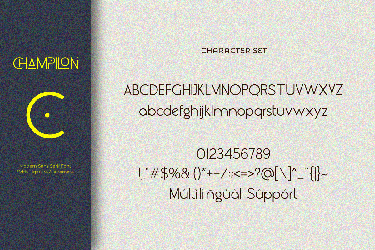 Champilon, a Sans Serif Font by Zafiratype (Photo 15 of 16)