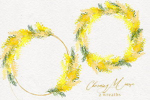 Charming Mimosa - Yellow Flowers PNG