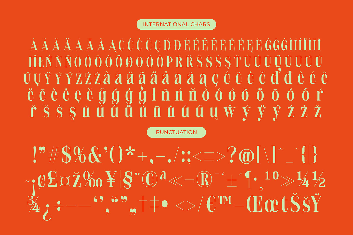 Delivery Feedback Modern Serif, a Serif Font by timelesstype.co (Photo 18 of 20)