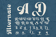 Setilver - Retro Swash Font, a Serif Font by Qweera Studio (Thumbnail 12 of 12)