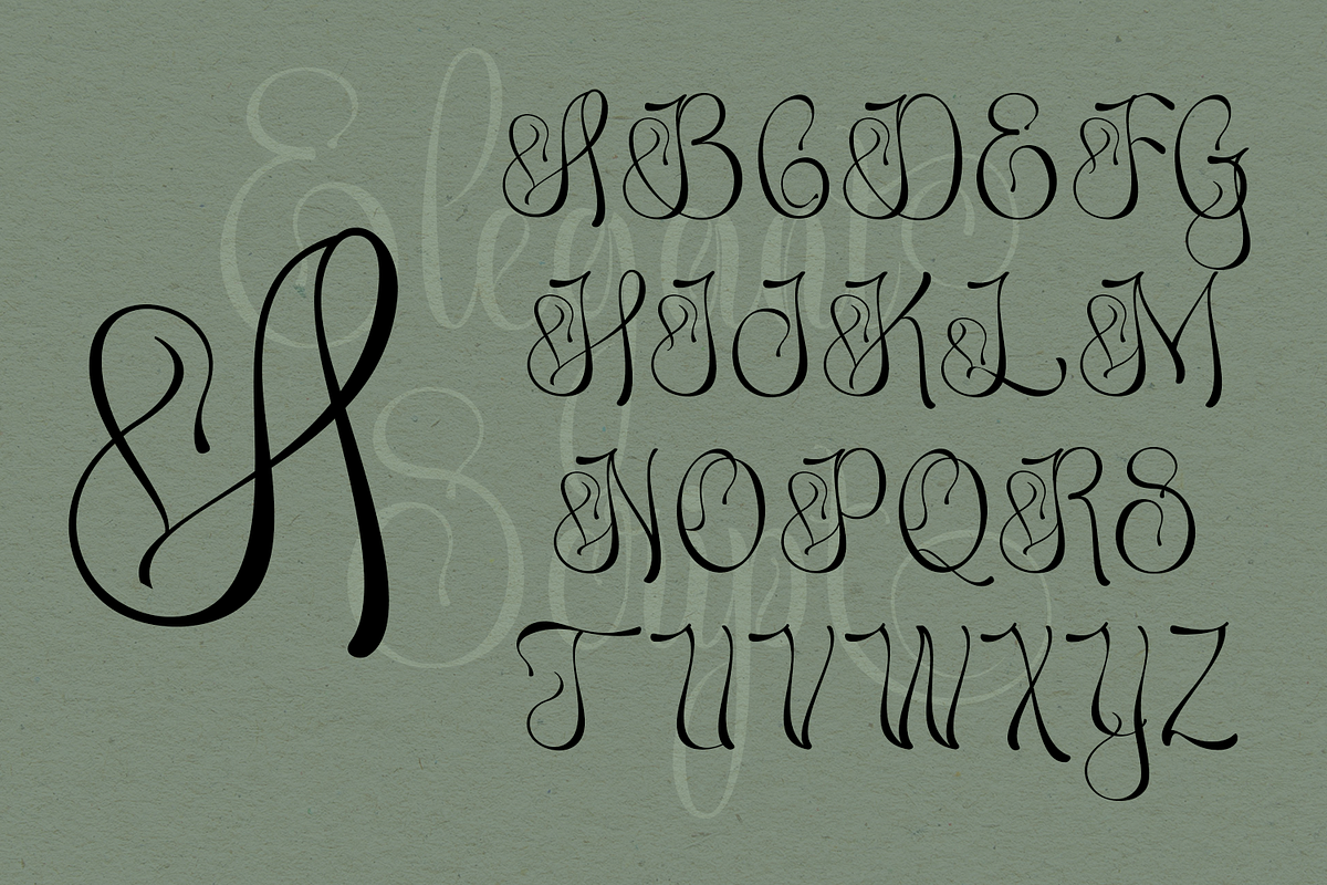 Abellona Script, a Script Font by TypeClassHeroes (Photo 2 of 11)