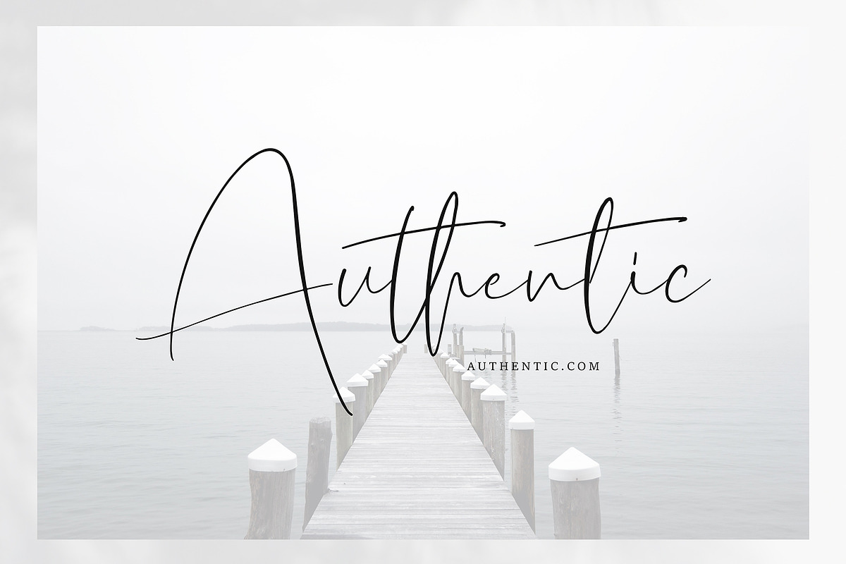 Sellicite Black Friday, a Script Font by pineungtype (Photo 4 of 7)