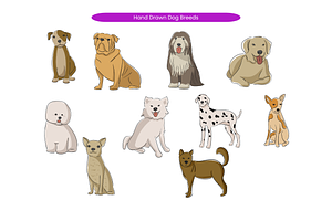 Hand Drawn Dog Breeds, an Animal Illustration by Creathub Studio