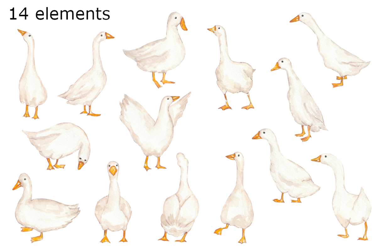 Geese watercolor clip art, a Background Graphic by GoodFairyClipArt (Photo 2 of 2)