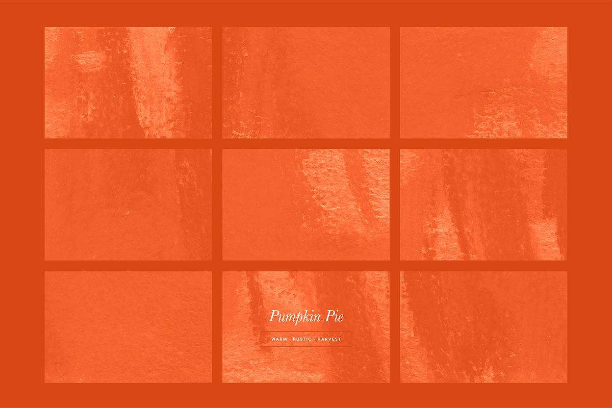 Grunge Distress Texture Backgrounds, a Texture Graphic by Oleg and Katja (Photo 5 of 15)