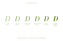 Renabyl - Serif Family Font