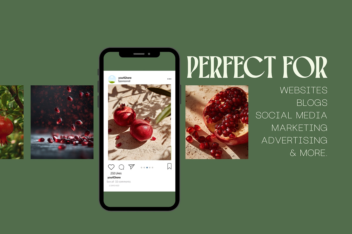 40 Editorial Pomegranate Photos, a Food Illustration by Incomelion (Photo 11 of 12)