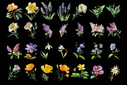 100 Floral Watercolor Illustrations, an Object Graphic by Nocturnal Wolf (Thumbnail 10 of 13)