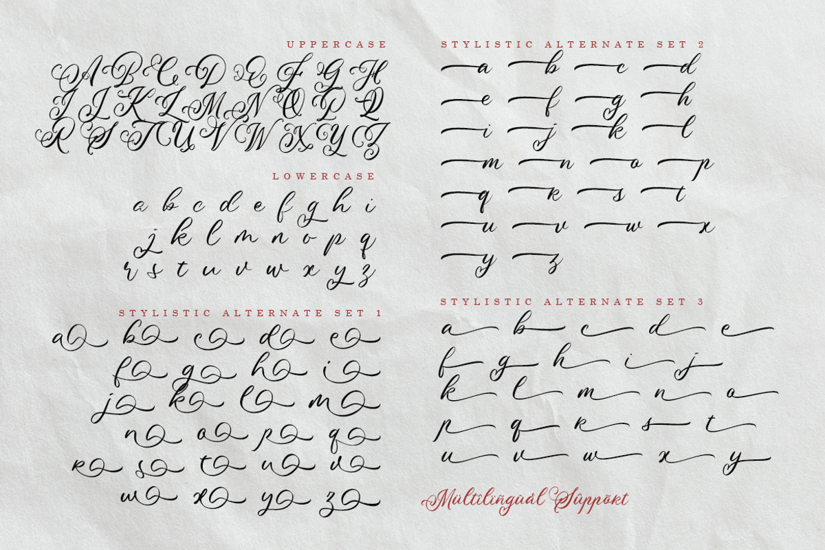 Special Bouquet | A Flourish Font, a Script Font by Colllab Studio (Photo 16 of 19)