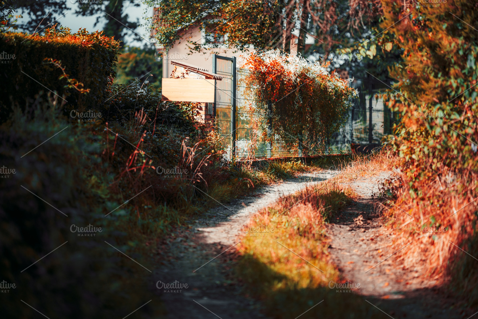 Autumn path to cozy house, an Architecture Photo by SkyNext