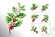Coffee Time. Watercolor hand drawn, a Food Illustration by Daria Ustiugova (Thumbnail 13 of 18)
