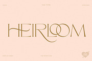 TAN - The Whistling, a Serif Font by TanType (Thumbnail 13 of 35)