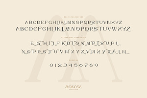 Monesa - Luxury Modern Serif Font