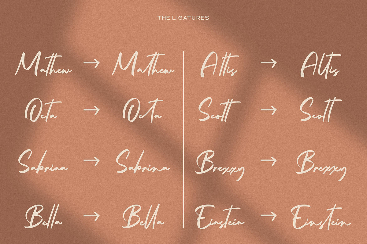 Aster Sphin - Script Font, a Script Font by Krakenbox Studio (Photo 8 of 11)