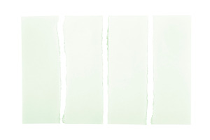 Green Torn Paper Strips, a Background Photo by THP Creative
