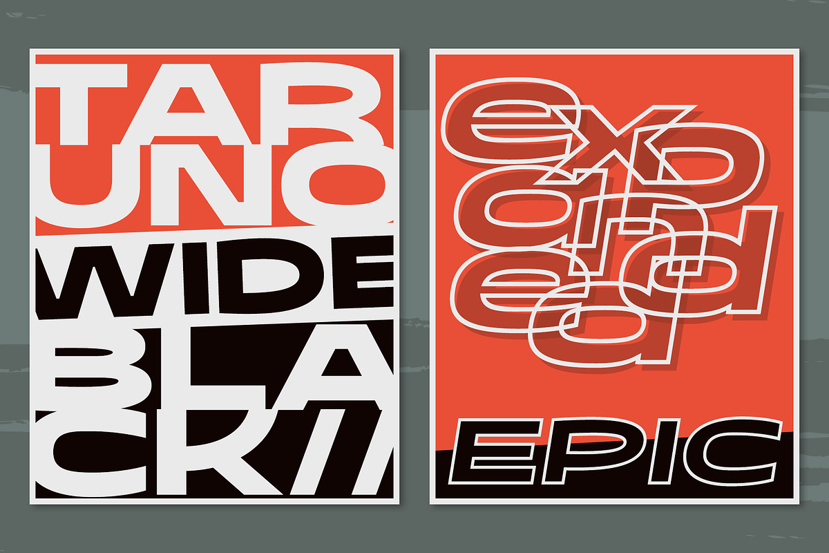 Taruno Wide Black, a Sans Serif Font by Locomotype (Photo 10 of 12)