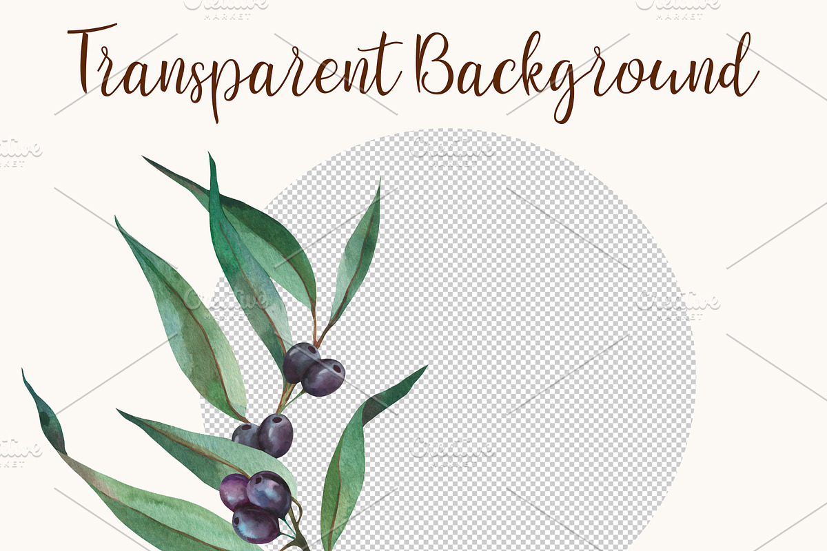 Olive Watercolor Clipart PNG, a Decorative Illustration by PatternPalette (Photo 6 of 8)